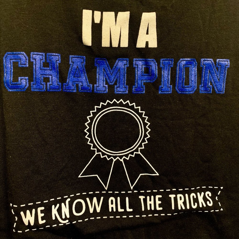 🔥3/$30 PSO Pole Sport Polewear Tank Top I'm A Champion We Know All The Tricks
